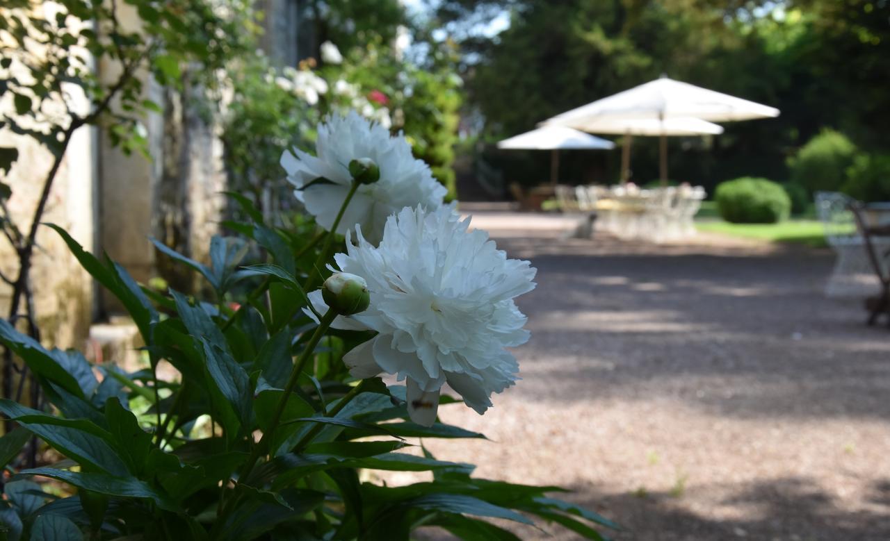 Bed and Breakfast Cote Park Givry  Exteriér fotografie